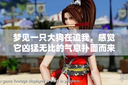 梦见一只大狗在追我，感觉它凶猛无比的气息扑面而来