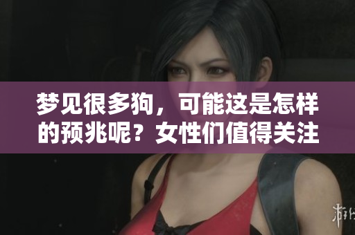 梦见很多狗，可能这是怎样的预兆呢？女性们值得关注这个梦境的含义。