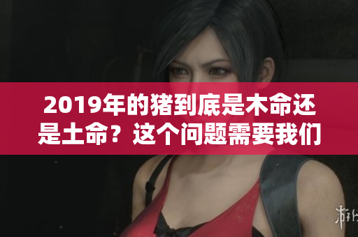 2019年的猪到底是木命还是土命？这个问题需要我们深入探讨一下。
